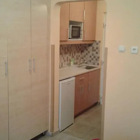 公寓式酒店 Beatrix Apartman *